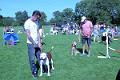 2. Dog Show - lining up for the judge